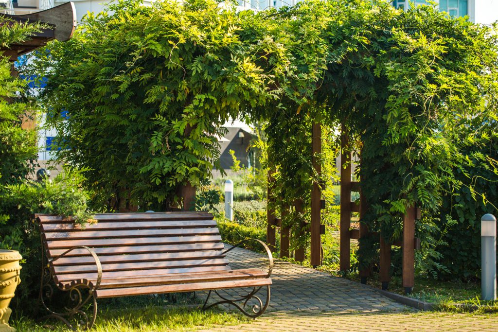 Tuinbeplanting, het opzetten van een goed doordachte en passende beplanting draagt bij aan de algehele kwaliteit en schoonheid van je tuin.